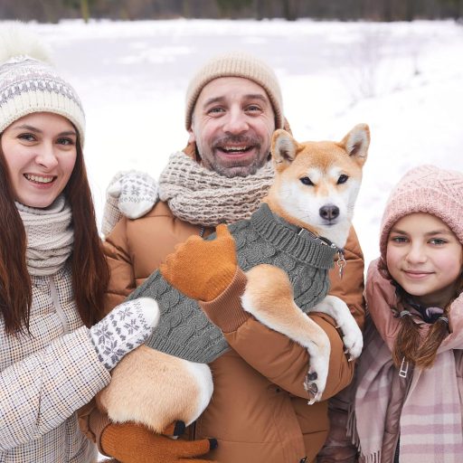 Grantop Pulover tricotat de iarnă pentru câini - Haine călduroase pentru animale de companie cu guler rulat, pentru câini de talie mică și medie, pisici - Gri, Mărimea L