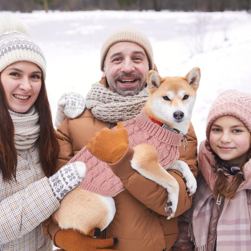 Pulover tricotat de iarnă pentru câini Grantop - Roz, M, Haine călduroase pentru animale de companie cu guler înalt, pentru câini de talie mică și medie, pisici