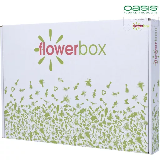 Flowerbox 3x Bureți florali Original Oasis® Premium cu impregnare MaxLife - 23x11x3,6cm