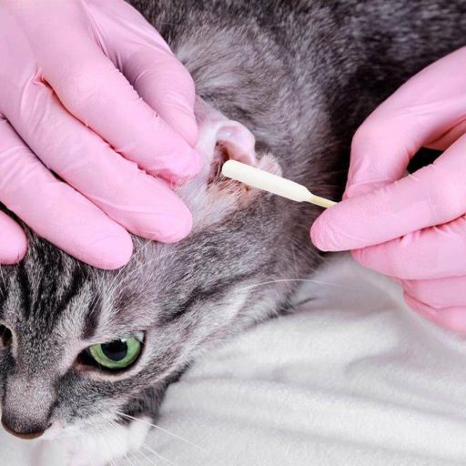 Set četkica za zube za pse od silikona za prst, s štapićima za čišćenje