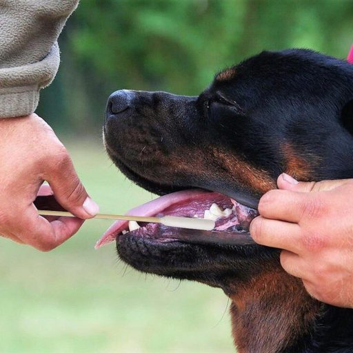 Set četkica za zube za pse od silikona za prst, s štapićima za čišćenje