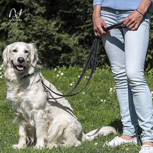 Happilax Lesă Ajustabilă pentru Câini 2m - Negru/Reflectorizantă - Ajustabilă în 3 Lungimi - Funcție Lesă Dublă - Pentru Câini Mari și Dresaj/Rechemare
