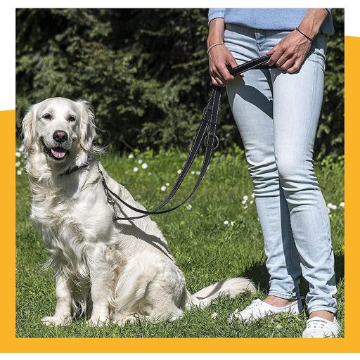 Happilax Lesă Ajustabilă pentru Câini 2m - Negru/Reflectorizantă - Ajustabilă în 3 Lungimi - Funcție Lesă Dublă - Pentru Câini Mari și Dresaj/Rechemare