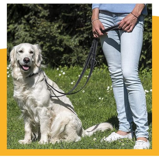 Happilax Lesă Ajustabilă pentru Câini 2m - Negru/Reflectorizantă - Ajustabilă în 3 Lungimi - Funcție Lesă Dublă - Pentru Câini Mari și Dresaj/Rechemare