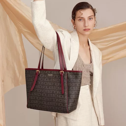 Geantă de mână/umăr din piele pentru femei Cnolés - Geantă maro stil Hobo cu mâner superior, Geantă tote elegantă pentru doamne