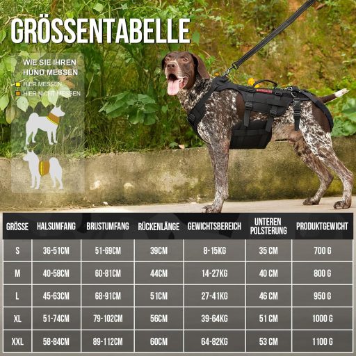 OneTigris Invictus kutyahám közepes-nagy kutyáknak, 3 fogantyúval és állítható pánt