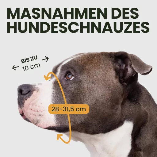 BRONZEDOG Botniță Pitbull, mască metalică Amstaff, ajustabilă cu curea de piele, pentru câini mari, negru