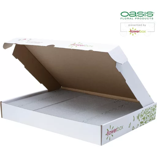 Flowerbox 3db Eredeti Oasis SEC Száraz Virághabszivacs Szárított Virágokhoz - 23x11x3,6cm Esküvő Születésnap Dekoráció