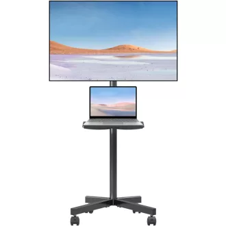   Suptek TV állvány kerekekkel, 21-60 colos LCD/LED TV-hez, magasságállítható