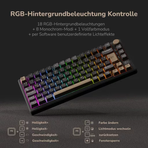 RK ROYAL KLUDGE M75 75% TKL Mechanická Herná Klávesnica, RGB Podsvietenie, OLED Displej, Hot-Swap Brown Spínače, Bezdrôtová/Bluetooth