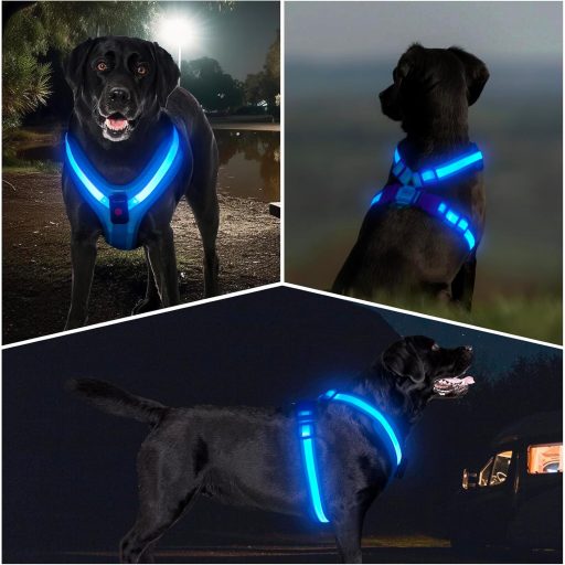 Ham pentru câini KOSKILL LED, reîncărcabilă, reflectorizantă, luminoasă în întuneric, XL, albastră