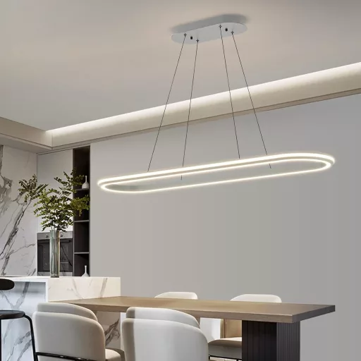 Mikeru Modern Ovális Függőlámpa 110cm Dimmelhető Távirányítóval