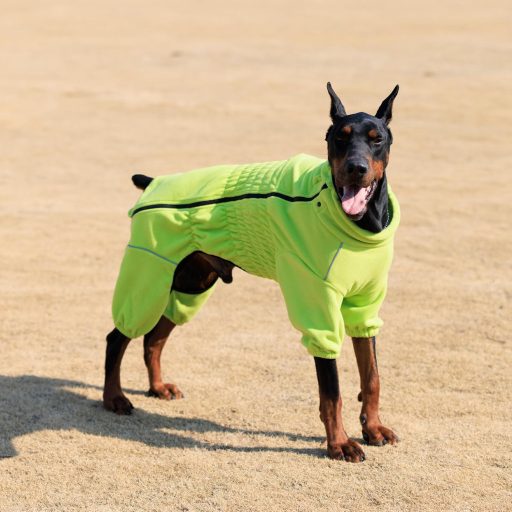 lovelonglong Szélálló Kutyakabát Kis Közepes Nagy Kutyáknak, 4 Lábú Polár Téli Kabát Cipzárral Zöld XL Méret Kültéri Használatra