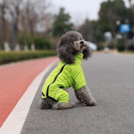 lovelonglong Jachetă pentru câini rezistentă la vânt, pentru câini mici, medii și mari, haină de iarnă polar, cu 4 picioare și fermoar, verde, mărimea XL, pentru utilizare în exterior