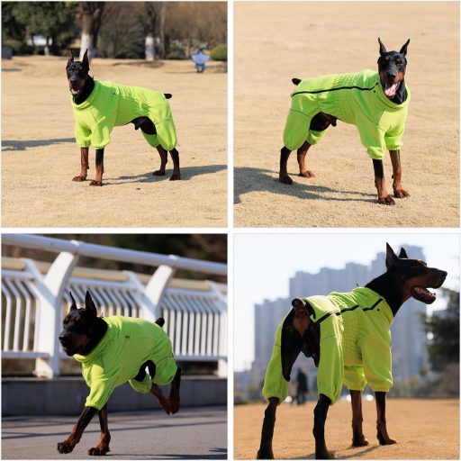 lovelonglong Jachetă pentru câini rezistentă la vânt, pentru câini mici, medii și mari, haină de iarnă polar, cu 4 picioare și fermoar, verde, mărimea XL, pentru utilizare în exterior