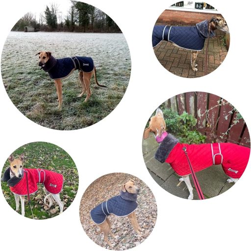 Geyecete téli kutyakabát fleece béléssel, vízálló, szélálló, piros XS