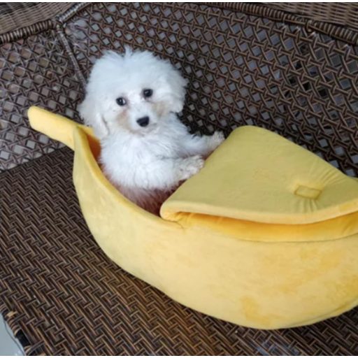 Xshelley Pat Pisică în Formă de Banană - Pătuț Moale de Pluș pentru Animale de Companie, Ideal pentru Pisoi și Cățeluși - Cuib Călduros pentru Animale Sub 6 kg (68