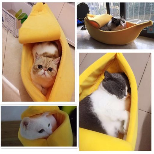 Xshelley Pat Pisică în Formă de Banană - Pătuț Moale de Pluș pentru Animale de Companie, Ideal pentru Pisoi și Cățeluși - Cuib Călduros pentru Animale Sub 6 kg (68