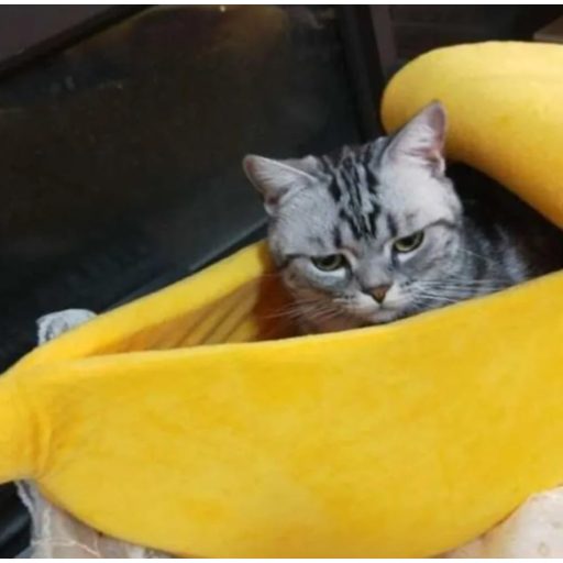 Xshelley Pat Pisică în Formă de Banană - Pătuț Moale de Pluș pentru Animale de Companie, Ideal pentru Pisoi și Cățeluși - Cuib Călduros pentru Animale Sub 6 kg (68
