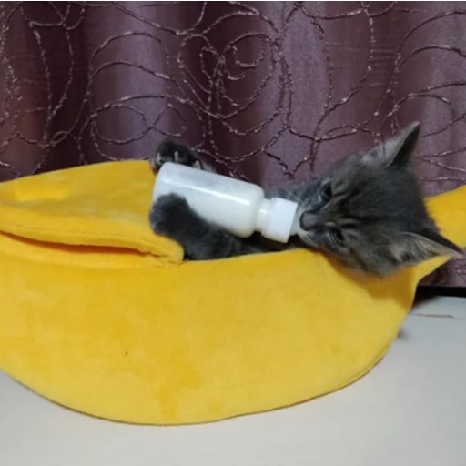 Xshelley Pat Pisică în Formă de Banană - Pătuț Moale de Pluș pentru Animale de Companie, Ideal pentru Pisoi și Cățeluși - Cuib Călduros pentru Animale Sub 6 kg (68