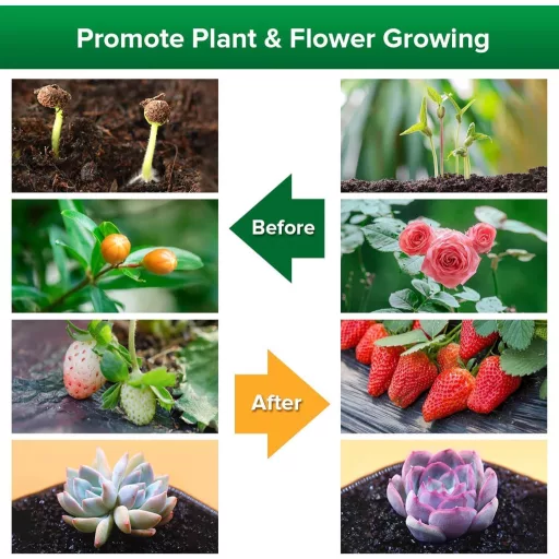 SANSI LED Lampă de Cultură pentru Plante de Interior, 600W Spectru Complet, Lampă cu Clip cu 4 Brațe Flexibile, cu Temporizator, Creștere cu PPFD Ridicat