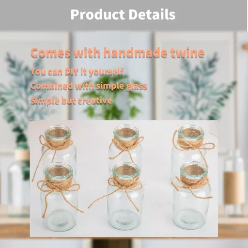 Set de 6 mini-vaze Jttxiu, vază de flori din sticlă transparentă, decor de masă.