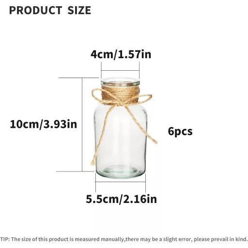 Set de 6 mini-vaze Jttxiu, vază de flori din sticlă transparentă, decor de masă.