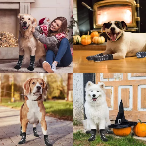 Cutiolly kutyaharisnya csúszásmentes talppal, 4 darab, beltéri-kültéri használatra
