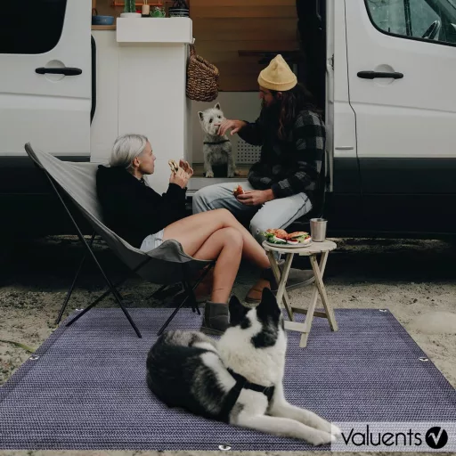 Covor de camping Valuents albastru-gri cu geantă de transport, frânghie de rufe și țăruși în formă de T