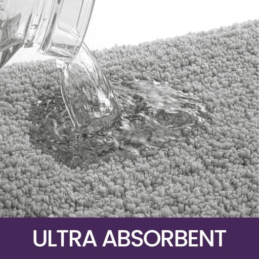 DEXI Csúszásmentes Fürdőszobai Szőnyeg 40x60 cm, Puha Mikroszálas Fürdőszobai Szőnyeg Világosszürke