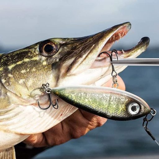 Profesionálny rybársky nástroj: Rýchly odstraňovač háčikov s karabínou a špirálovou šnúrou