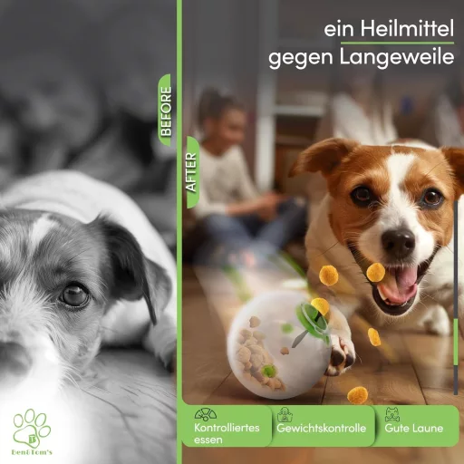 Ben & Tom's Interaktivna igračka za pse, potiče inteligenciju, spori hranitelj