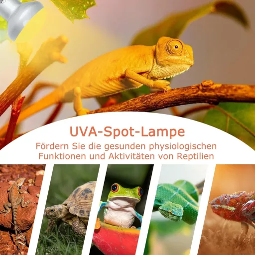 LUCKY HERP Terrárium Melegítő Lámpa 100W UVA Fénnyel, 2 Darabos Csomag Hüllőknek, Teknősöknek, Szakállas Agámáknak