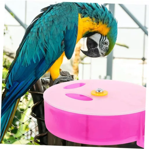 Papagáj Kerék Játék, Élelem Kereső és Oktató Madár Játékszer 20 cm x 20 cm x 5 cm - Lila
