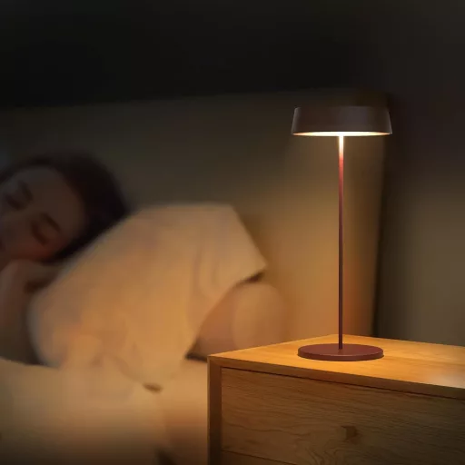 Stolná LED lampa Palmina 901 s funkciou stmievania, bezdrôtová, vodoodolná IP54