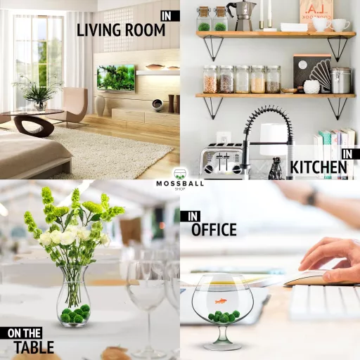 Mossball shop 21 db Marimo Moha Golyó Akvárium Növény Díszítő Vízi Növény Cladophora Aegagropila 1-2 cm Valódi Moha Labda