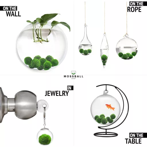 Mossball shop 21 db Marimo Moha Golyó Akvárium Növény Díszítő Vízi Növény Cladophora Aegagropila 1-2 cm Valódi Moha Labda