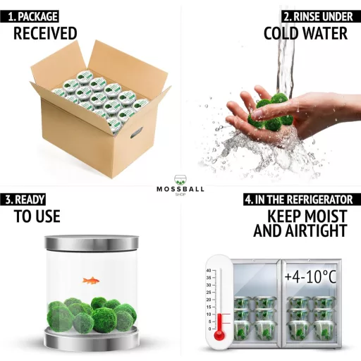 Mossball shop 21 db Marimo Moha Golyó Akvárium Növény Díszítő Vízi Növény Cladophora Aegagropila 1-2 cm Valódi Moha Labda