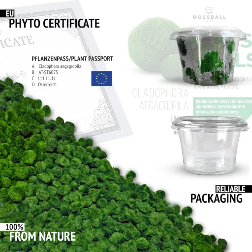 Mossball shop 21 db Marimo Moha Golyó Akvárium Növény Díszítő Vízi Növény Cladophora Aegagropila 1-2 cm Valódi Moha Labda