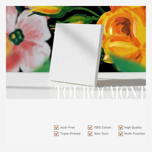 TOUROCMONT set zateznih okvira, 10 komada, 20x20 cm, za slikanje na platnu