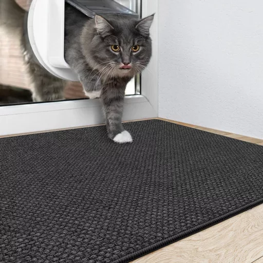 DEXI beltéri lábtörlő 44x75 cm, csúszásmentes szennyeződésfogó szőnyeg, mosható ajtó előtti szőnyeg, sötétszürke