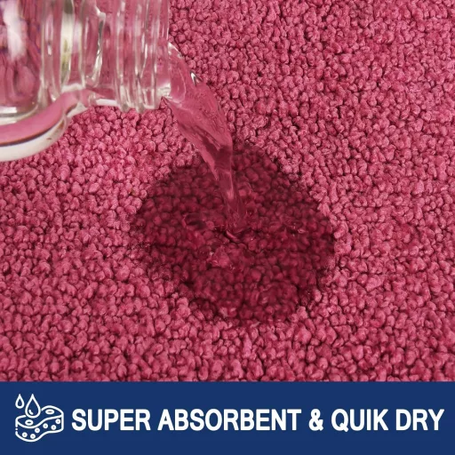 FCSDETAIL Covor absorbant de murdărie, 60x210 cm, Covoraș antiderapant pentru intrare, Lavabil, Prietenos cu câinii