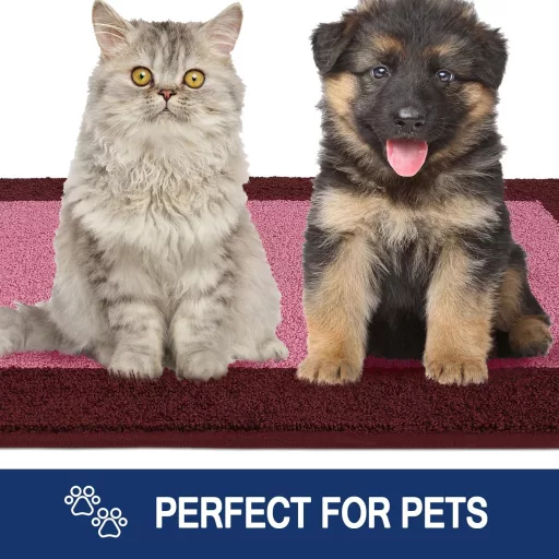 FCSDETAIL Szennyeződésfogó Lábtörlő 60x210 cm, Csúszásmentes Bejárati Szőnyeg, Mosható Kutyabarát Futó