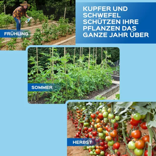 LERAVA Réz és Kén Fungicid Spray 700ml - Lisztharmat Elleni Permetszer Rózsához, Szőlőhöz, Gyümölcsfákhoz