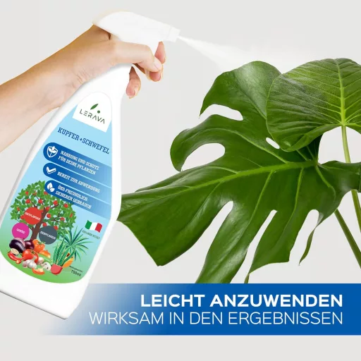 LERAVA Réz és Kén Fungicid Spray 700ml - Lisztharmat Elleni Permetszer Rózsához, Szőlőhöz, Gyümölcsfákhoz
