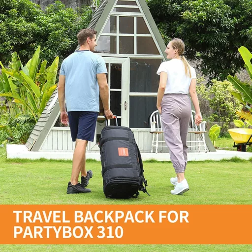 LICHIFIT JBL PARTYBOX 310 prijenosna torba crna transportna torba