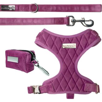   Pet Peterson Podesivi Oklop za Male Pse, Ljubičasti Baršun, Veličina M + Povodac + Torba za Nošenje