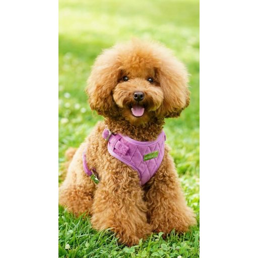 Pet Peterson Podesivi Oklop za Male Pse, Ljubičasti Baršun, Veličina M + Povodac + Torba za Nošenje