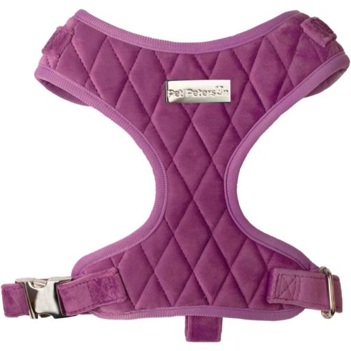 Pet Peterson Állítható Kutyahám Kicsi Kutyáknak, Lila Bársony, M Méret + Póráz + Szállítótáska