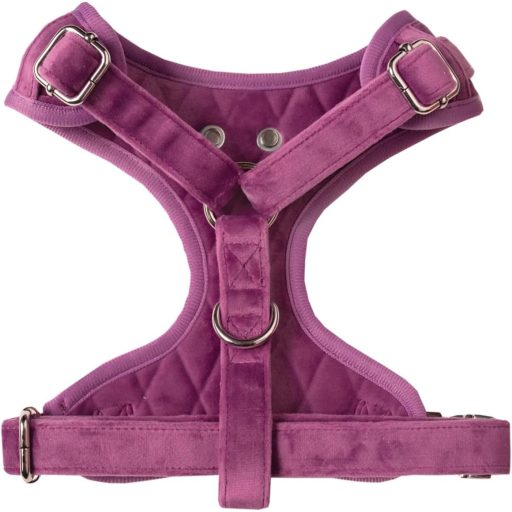 Pet Peterson Állítható Kutyahám Kicsi Kutyáknak, Lila Bársony, M Méret + Póráz + Szállítótáska